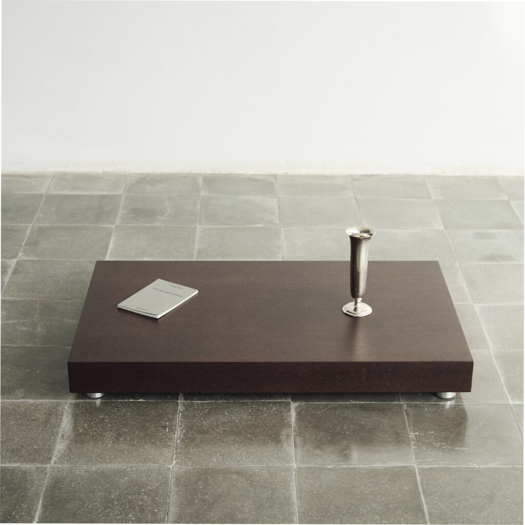 Ligne Roset Low Wood Table